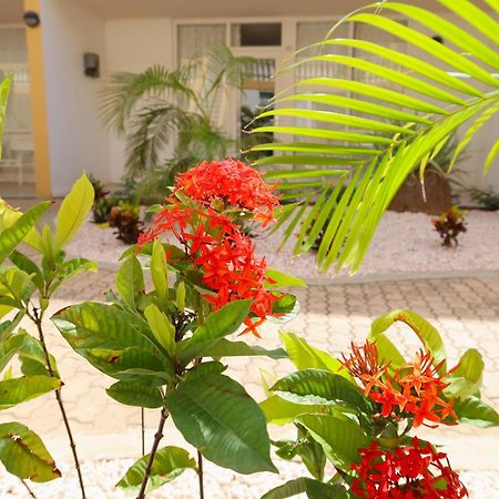 Montana Eco Resort Aruba Oranjestad Exteriér fotografie