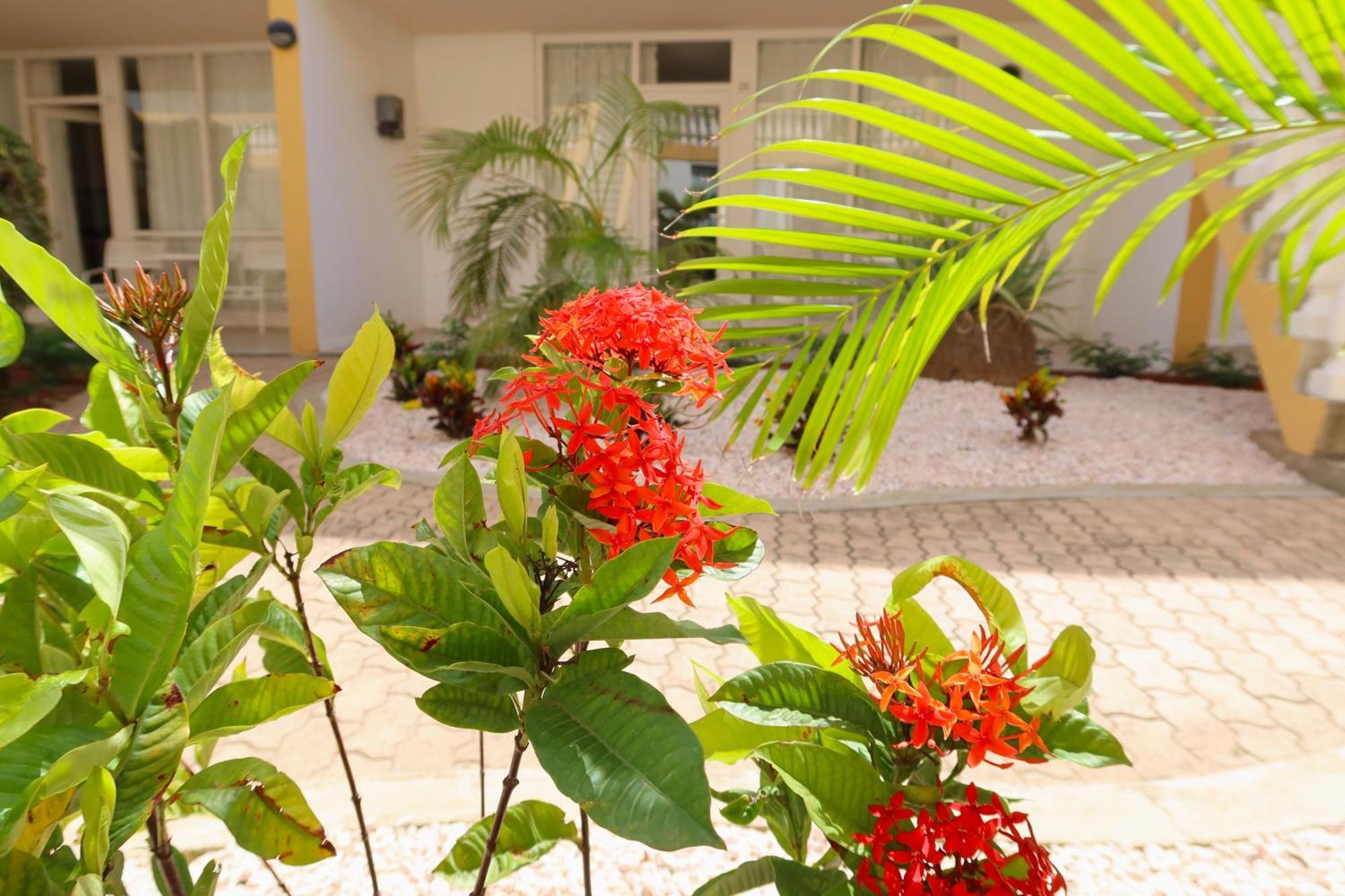 Montana Eco Resort Aruba Oranjestad Exteriér fotografie